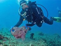 Turistlerin yeni rotası: Kuşadası’nın su altı dünyası