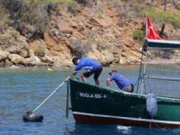 Karadan ulaşılamayan koylardan 306 ton çöp toplandı