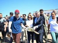 Tedavisi yapılan Deniz kaplumbağası denize bırakıldı!