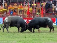15 Manda Şampiyonluk İçin Sahne Alıyor