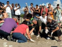 Çıralı’da 117 yuvadan 3 bin 500 caretta denize ulaştı