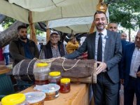 Manavgat’ta bal zamanı: Üreticiler festivalde buluştu