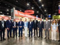 Niki Lauda'nın uçakları THY'de