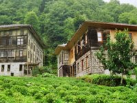 Rize'de ''Organik Turizm başladı
