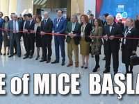 ACE of M.I.C.Ede kongre buluşması