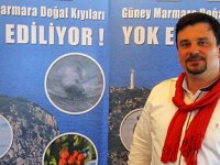 Marmara'daki foklar tehlikede