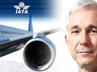 IATA: Havacılık karı 13 milyon artacak