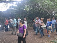 Giresun esnafı turizmden memnun