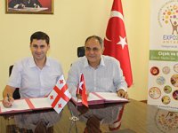 Gürcistan Antalya Expo'da