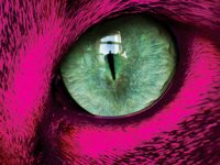 İzmir kısa film yarışması yapılıyor