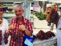 Urla Bağbozumu Şenliği heyecanı