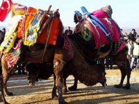 Develer içme suyu için güreştiler