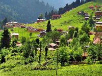 Ayder Yaylasında turizme dönüşüm