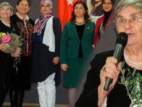 Domuz gribine karşı zeytinyağı