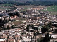 Turizm Komitesi Karaisaliyi gezdi
