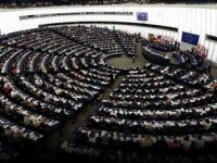 APnin Türkiye raporuna iade