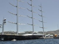 Maltese Falcon, Bodrumda