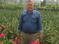 Turizmdeki kriz çiçekçileri de vurdu