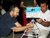 Caretta caretta için seferberlik