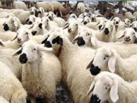 Kurban Bayramı tatili ne kadar?