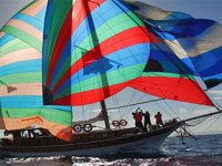 Bodrumda ahtapot ile levrek yarışı