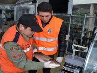 Küçük boy balık satana ceza