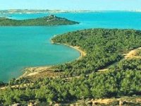 Tabiat parkını betona boğacaklar