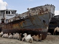 Aral Gölü turizme kazandırılacak