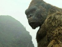Vietnamda King Kong turizmi
