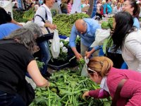 Alaçatı Ot Festivali yaklaştı