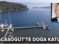 Karacasöğüt köyünde doğa katliamı