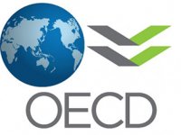 OECD büyüme beklentisini yükseltti