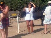 Çeşme Karaadada eşek turizmi