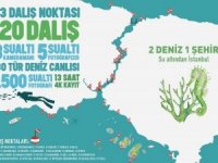 Hatay'a 17 milyon fidan dikilecek