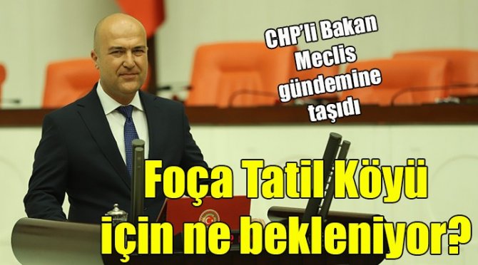  foca-tatil-koyu.jpg