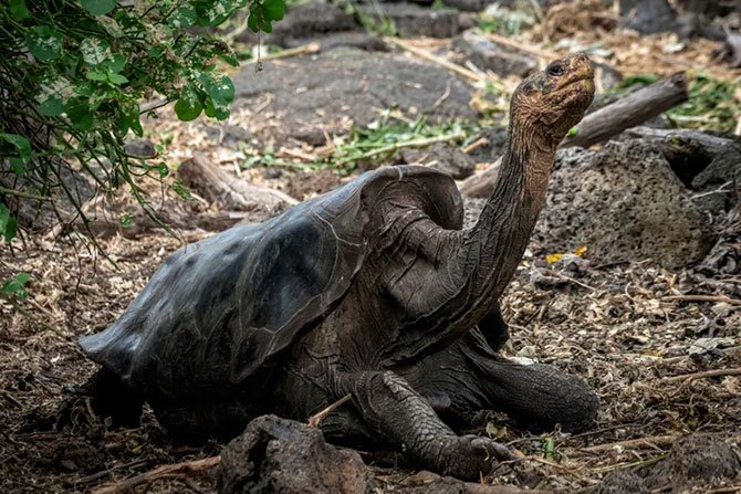 galÁpagos-adalari.jpg