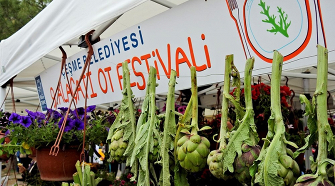 alacati-ot-festivali -002.jpg