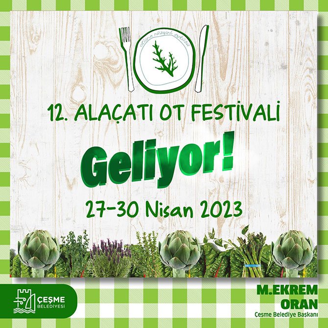alacati-ot-festivali-004.jpg
