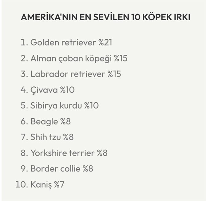 amerika,-kopek-001.jpg