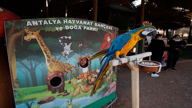antalya-hayvanat-bahcesi-006.jpg