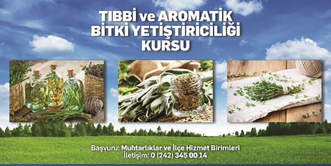 aricilik-ve-tibbi-aromatik.jpg