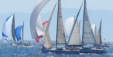 arkas-cup-5.jpg