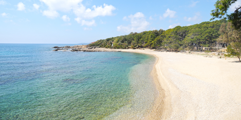 aydogan-alanya-3.png aydogan-alanya-3.png