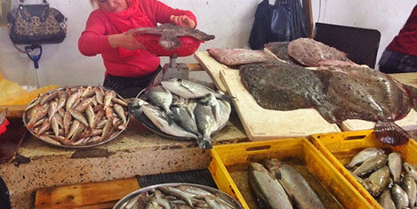 batum-balik.jpg batum-balik.jpg