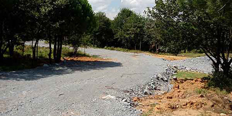 belgrad-ormani-2.jpg belgrad-ormani-2.jpg