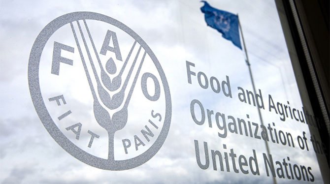 birlesmis-milletler-gida-ve-tarim-orgutunden-(fao).jpg