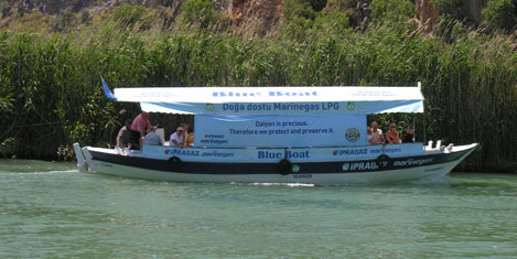 blue-boat4.jpg