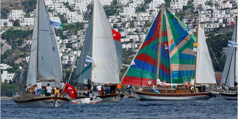bodrum-cup1b.jpg