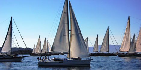 bodrum-cup4.jpg