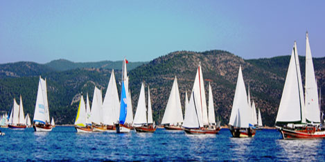bodrum-cup7.jpg